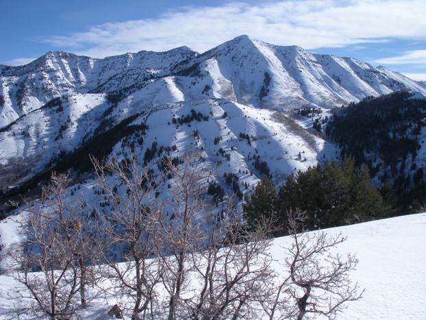 Provo Peak from Y Mountain