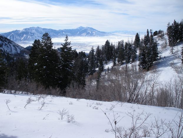 Y Mountain snowshoeing