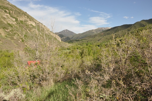 South Fork Canyon