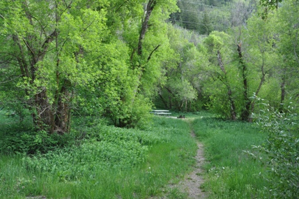 picnic area