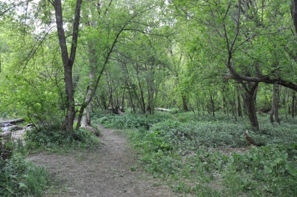 trails