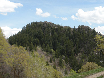 Sundance Peak 