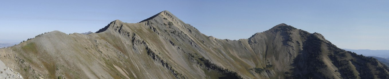 Provo Peak from Corral Peak