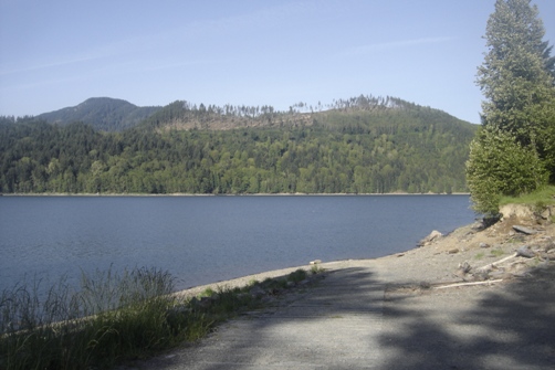 alder lake