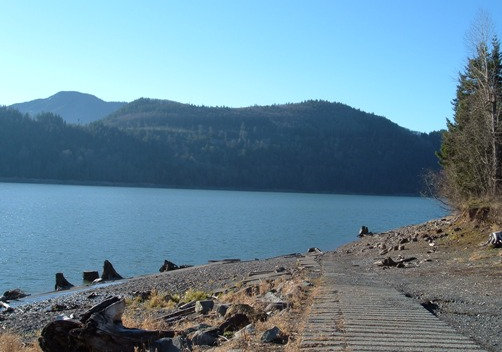 alder lake