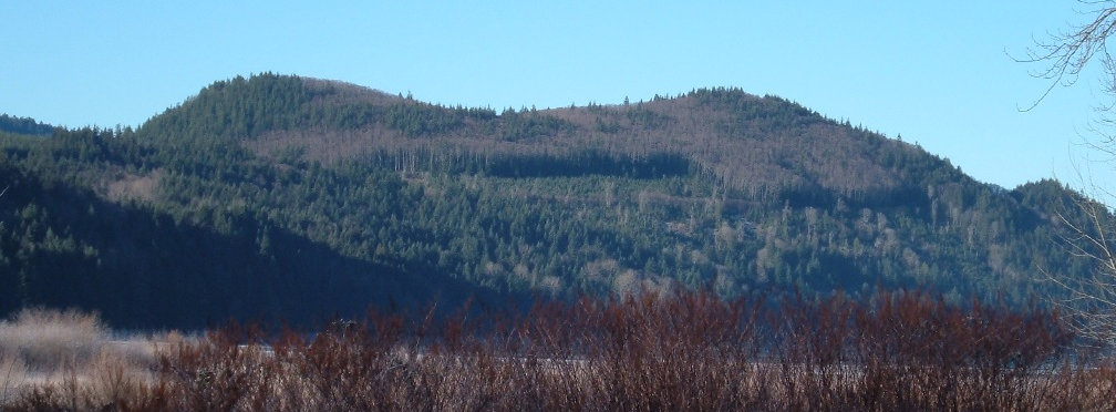 Alder Overlook 