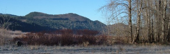 Alder Overlook from Elbe