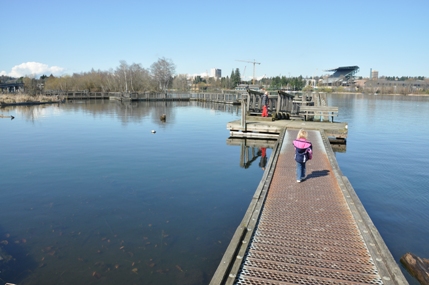 Arboretum Waterfront 