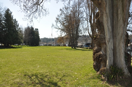 West Montlake Park