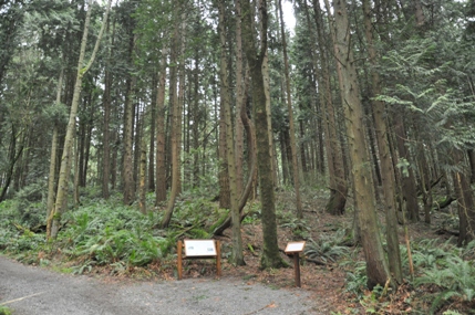 Bridle Trails State Park