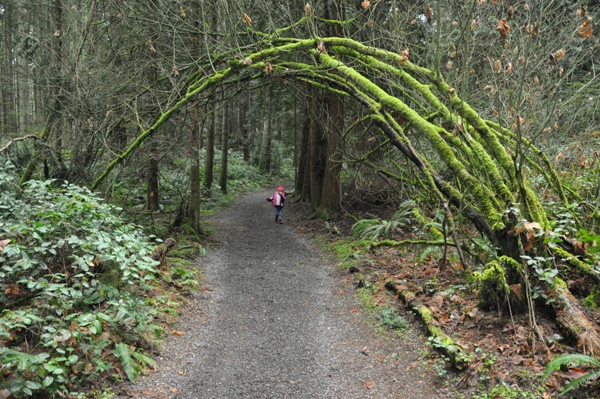 Bridle Trails State Park