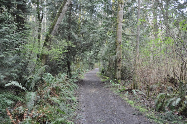 Bridle Trails Bellevue