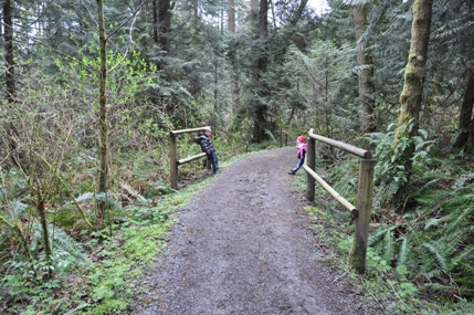 Bridle Trails Kirkland