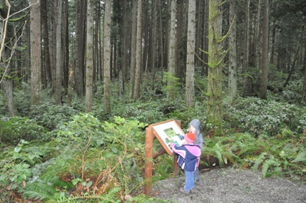 Bridle Trails State Park