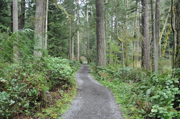 Bridle Trails State Park