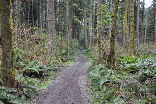 Bridle Trails State Park