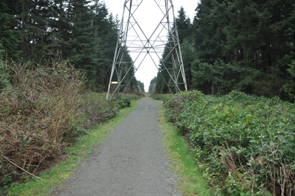 Powerline Trail 
