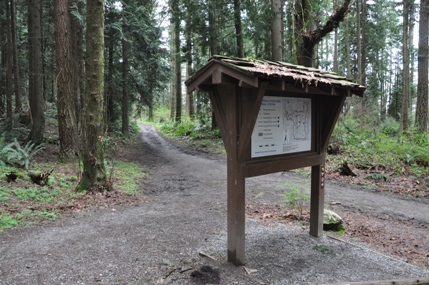 Bridle Trails State Park