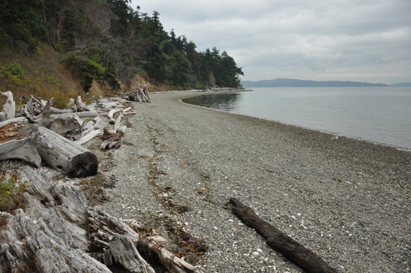 Cama Beach State Park