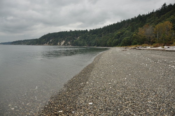 Beach at Cama Beach 