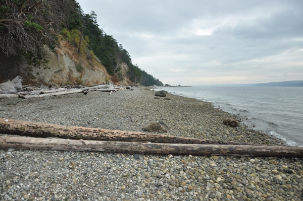 Lowell Point Camano beach