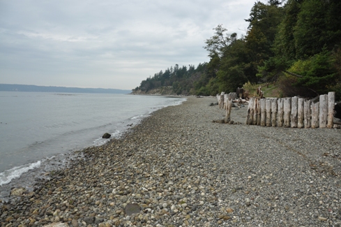 Camano Island State Park