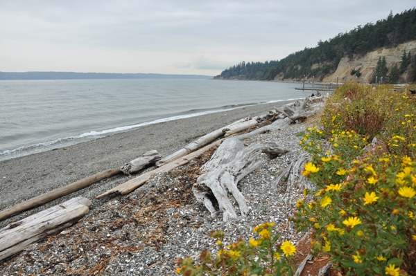 Camano Island State Park