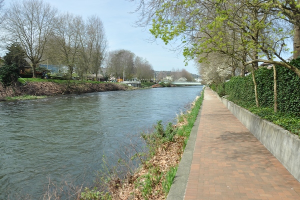 Cedar River Trail 