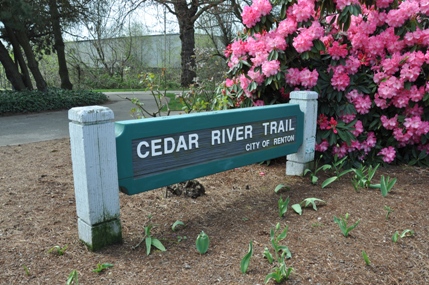Cedar River Trail