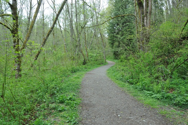 hiking clarks creek