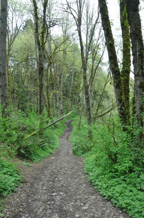 hiking clarks creek