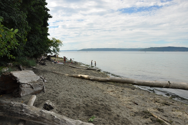 Dash Point State Park beach 