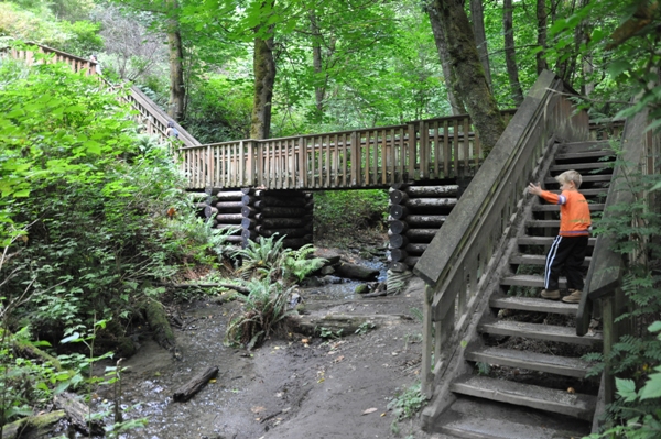 dash point bridge