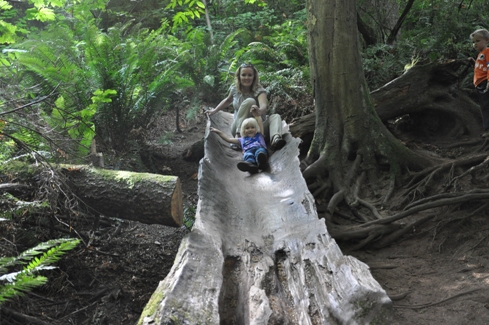 Log slide at dash point