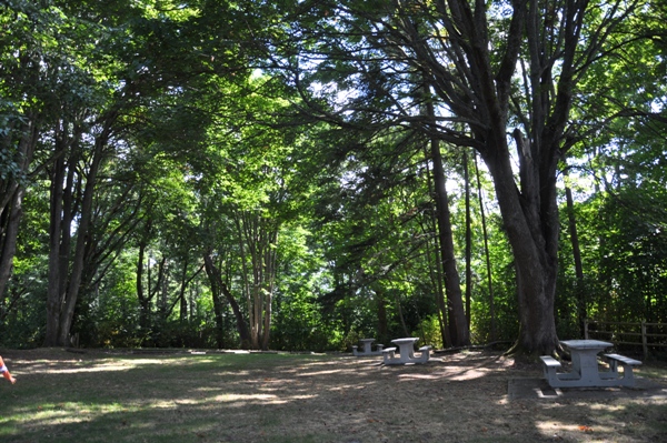 picnic area at dash point