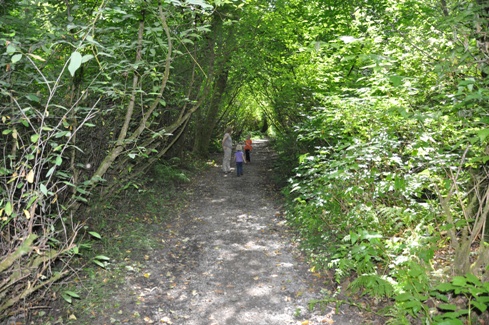 trail at dash point