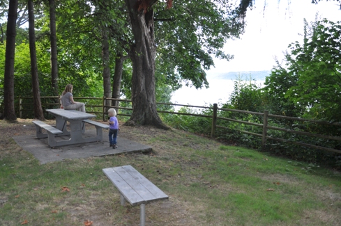 dash point overlook