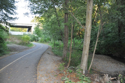 Des Moines Creek Trail