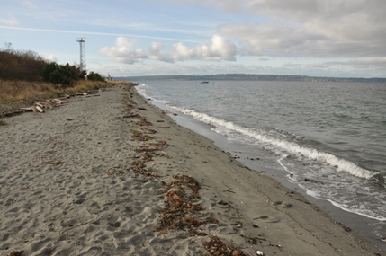 discovery park beach