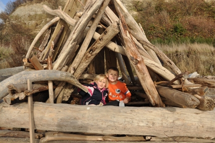 driftwood shelter