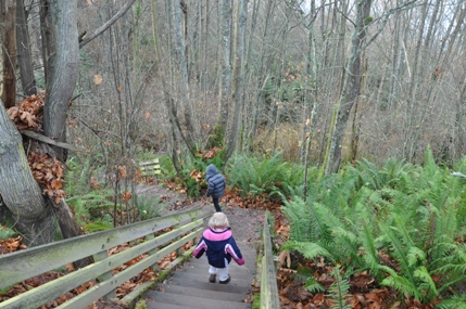 hiking discovery park