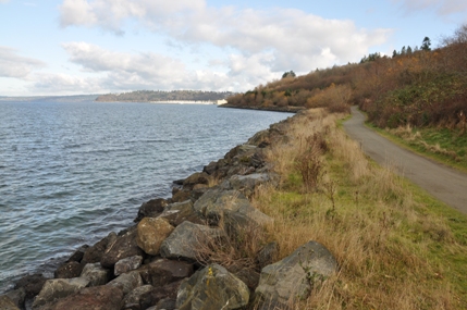 discovery park trail