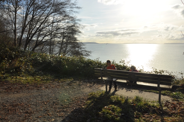 discovery park view