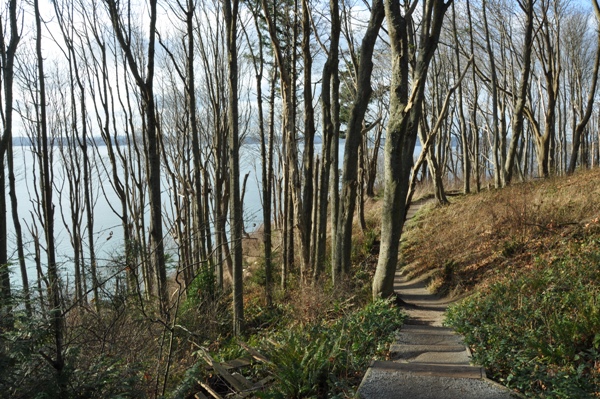 hiking discovery park