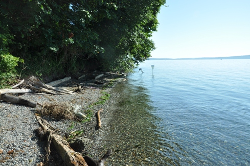 Eagle Landing Park beach