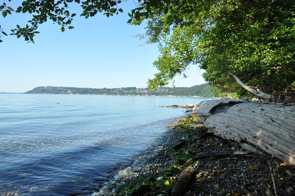 Eagle Landing Park beach