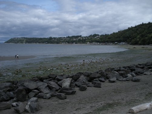 Low Tide in Seahurst 