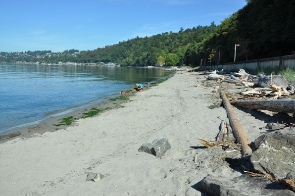 Seahurst Park Beach