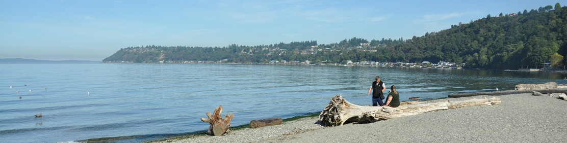 Beach at Seahurst 