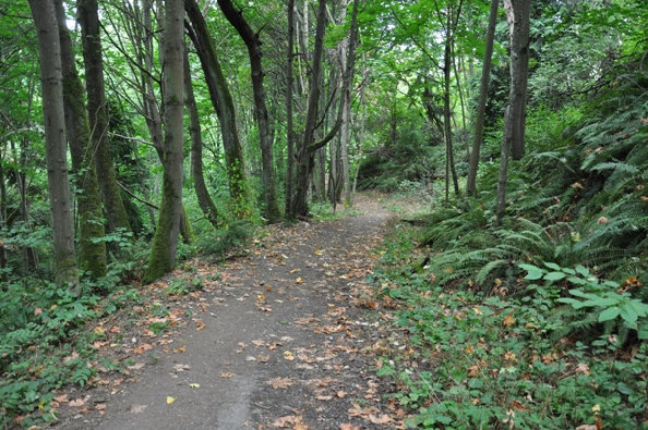 Seahurst Park trail